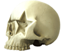 Ron English "Star Skull"- Prototype Shown