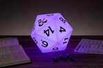 D20 Light