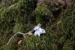 Bulbasaur Necklace