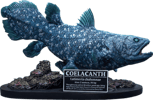 Coelacanth Collector Edition (Prototype Shown) View 9