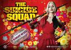 Harley Quinn (Bonus Version)- Prototype Shown