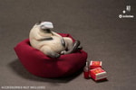 Siamese Cat- Prototype Shown
