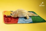 Crawling Crocodile (Pineapple)- Prototype Shown