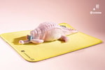 Crawling Crocodile (Peach)- Prototype Shown