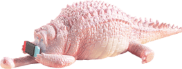 Crawling Crocodile (Peach)