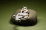 Snow Leopard- Prototype Shown