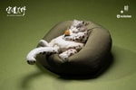 Snow Leopard- Prototype Shown