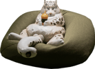 Snow Leopard