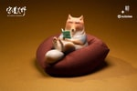 Tibetan Fox- Prototype Shown