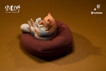 Tibetan Fox- Prototype Shown