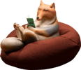 Tibetan Fox
