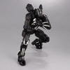 Black Panther