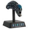 Xenomorph Head- Prototype Shown