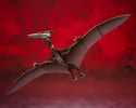 Rodan (2021) The Second Form