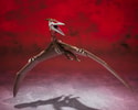 Rodan (2021) The Second Form