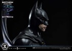 Batman (Prototype Shown) View 19