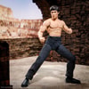 The Warrior (Prototype Shown) View 1