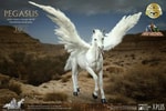 Pegasus Collector Edition (Prototype Shown) View 1
