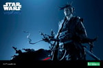 The Ronin