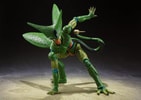 Cell First Form- Prototype Shown