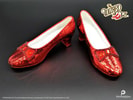 Ruby Slippers- Prototype Shown