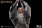 Gandalf the Grey (Premium Edition)- Prototype Shown