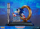 Sonic The Hedgehog 30th Anniversary