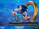 Sonic The Hedgehog 30th Anniversary