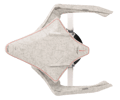 USS Liu Cixin Ship- Prototype Shown