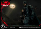 The Batman Special Art Edition Collector Edition (Prototype Shown) View 32