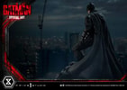 The Batman Special Art Edition Collector Edition (Prototype Shown) View 4