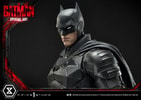 The Batman Special Art Edition Collector Edition (Prototype Shown) View 15