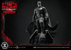 The Batman Special Art Edition (Limited Version) (Prototype Shown) View 5