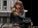 Hermione Granger Polyjuice Deluxe