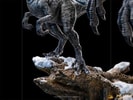 Blue and Beta Deluxe