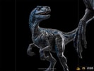Blue and Beta Deluxe