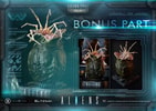 Ellen Ripley (Bonus Version)- Prototype Shown
