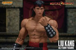 Liu Kang (Prototype Shown) View 2