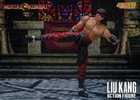 Liu Kang (Prototype Shown) View 14