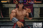 Liu Kang (Prototype Shown) View 6