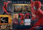 Friendly Neighborhood Spider-Man
