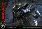 Jungle Hunter Predator