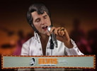 Elvis Presley (Vegas Edition)- Prototype Shown