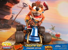 Crash in Kart
