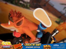 Crash in Kart