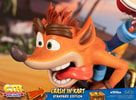 Crash in Kart