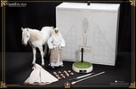 Gandalf the White
