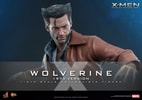 Wolverine (1973 Version) Collector Edition (Prototype Shown) View 1