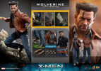 Wolverine (1973 Version) (Deluxe Version) (Prototype Shown) View 17