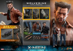 Wolverine (1973 Version) (Deluxe Version) (Special Edition) Exclusive Edition (Prototype Shown) View 20